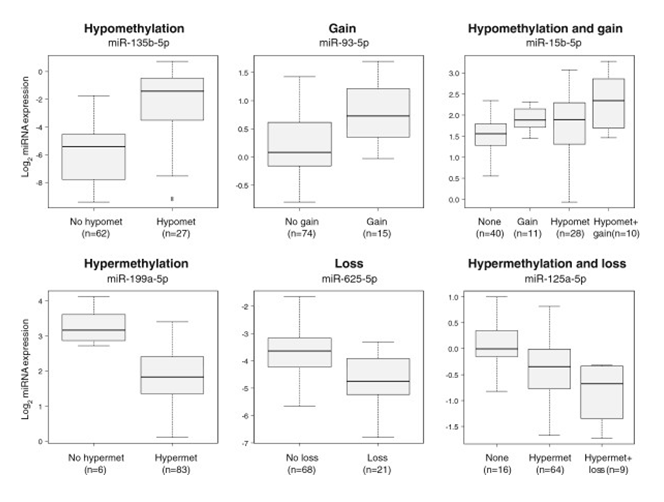 Figure 2.Examples of in-cis miRNAs. Six different miRNAs are depicted whose expression was associated with a certain aberration type in the breast cancer discovery cohort. The boxplots show the miRNA expression among aberration groups and the number in parentheses indicate the number of patients in a given aberration group. Hypomet, hypomethylation; hypermet, hypermethylation.